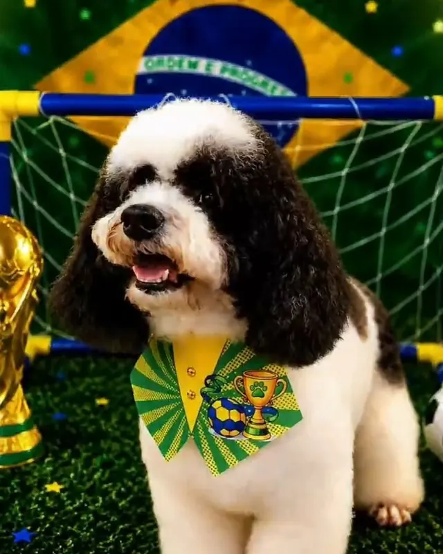 Cão torcedor com bandana verde e amarela